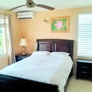  Apartment 2 Bedroom Apartment/flat Jamaica